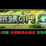 【モンスト】試練の門 第４試練 自陣無課金編成 攻略参考動画【解説】