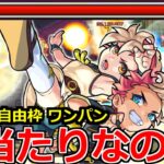 【エルマルー＆コニィルーα】「神殿ワンパン2体自由枠も可能!?」最強レベルのSSと友情で今回のガチャの大当たり枠か!?【モンスト】