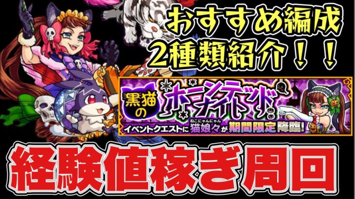 【猫娘々】けいウサおすすめ周回編成。経験値稼ぎパーティ【モンスト】