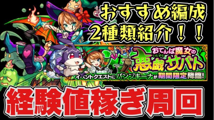 【パンプキーナ】けいウサおすすめ周回編成。経験値稼ぎパーティ【モンスト】