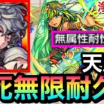 【無属性耐性M】えっ！？天魔3の即死級攻撃を”無限耐久”！？サポート面で『浄玻璃鏡』が3の間で最高過ぎた