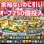 【モンスト】『確定ましまし５属性ガチャ』オーブ250個投入した結果は？！