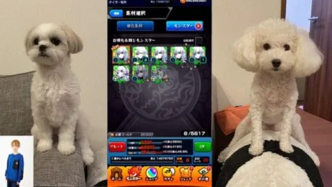 【モンスト】【雑談】タイガー桜井怒りのボックス整理2023【LIVE】