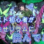 【モンスト】モンスト初心者が闇属性のセイラムに挑んでみた