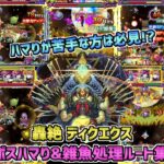 【モンスト】ハマりが苦手な方は必見!? ボスハマり＆雑魚処理ルート集!! 轟絶ディクエクス攻略!!