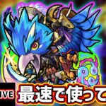 【🔴モンストライブ】天魔1の順当適正に！『ヤタガラス』獣神化改を最速で使ってみた【けーどら】