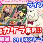 モンスト🌟ライブ配信🌟SPY×FAMILYコラボ守護獣の森【怪しい二人組】ボンドくんカケラ集め…からのフォーサー挑戦してみる✨マルチ周回