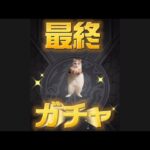 【猫ミーム×ガチャ】モンストコラボガチャ！最終　#shorts