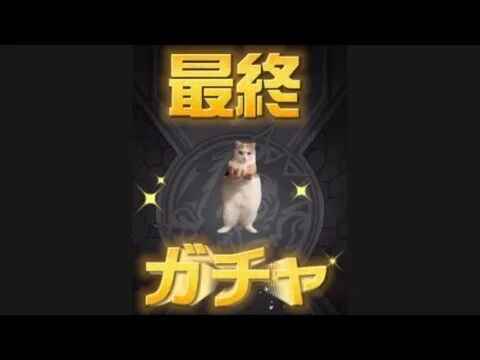 【猫ミーム×ガチャ】モンストコラボガチャ！最終　#shorts