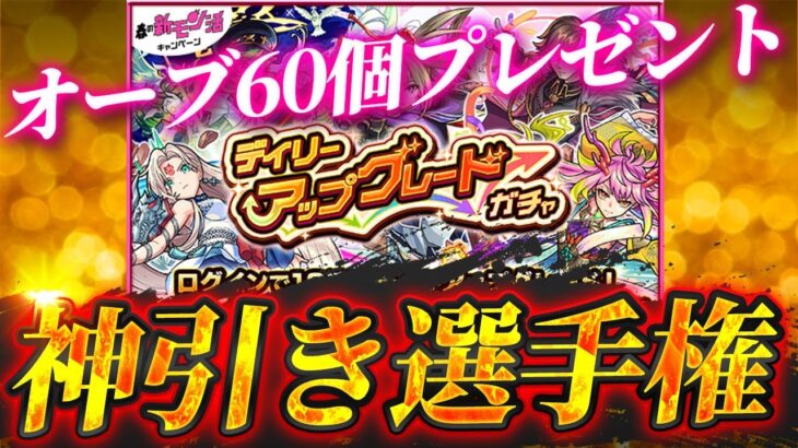 【モンスト】神引き選手権〜デイリーアップグレードガチャ編〜