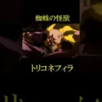 【モンスト怪獣8号コラボ】トリコネフィラ必殺技　＃モンスターストライク
