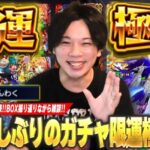 【モンスト】10年モンストを楽しんできた男のボックス紹介！総勢80体ガチャ限運極紹介＆振り返り雑談！《2024年最新版》【しろ】