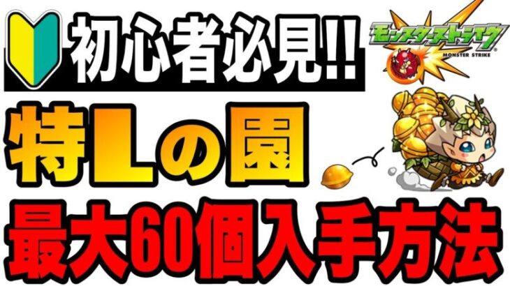 【モンスト】初心者必見!! 『特Lの園』で最も効率的な立ち回りを解説