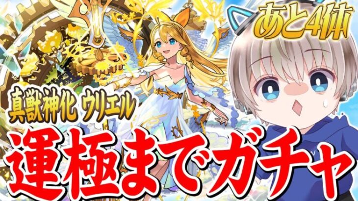 【モンストライブ】真獣神化『ウリエル』運極になるまで終われませんガチャ配信。【ゆらたま】