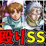 【モンスト】星5ガチャキャラ(ガチャ限)直殴り追撃SS集 星6キャラにも負けない追撃火力を持つキャラクター達/SS14選/演出まとめ/演出最高【モンストコラボ】