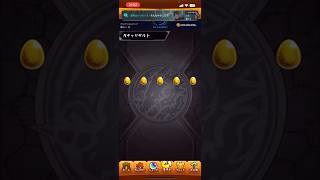 【モンスト】コードギアスコラボガチャ(トク玉5連) #モンスト #モンスターストライク #コードギアスコラボ