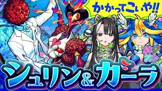 【モンスト】超究極シュリン&ガーラを倒すぞ！今日は2人で仲良く出撃する予定！⭐️🦢🍊💚【#メタストらいぶ 】