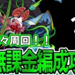 【モンスト】初心者でも組めて高速周回できる！激究極『ショカモリ』自陣無課金編成攻略解説【モンスト夏休み2025】