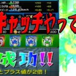 タスキャッチやってみる モンスト3ds part37