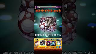 EXグランディオーソ完全無課金【モンスト】【完全無課金】