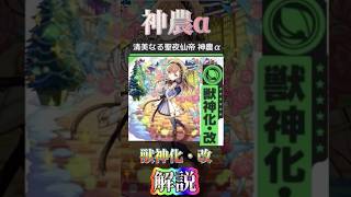 【イラスト良すぎ⁉︎】神農α獣神化改について解説！！　#モンスト #モンスターストライク #新春超獣神祭 #オーブ回収 ＃神農　#ニュートン　＃マルタ　＃ティルナノーグ　＃モンストクリスマス