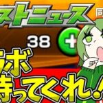 【モンストニュース】新春ガチャでオーブ使ったのでコラボが怖い同時視聴