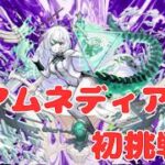 【モンスト】2/15アムネディア初挑戦！！！！！【aki-games/aki】