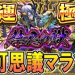 【🔴モンストLive】ニュースの感想とかディジェンの適正とか話しながら不可マラ【しゅんぴぃ】