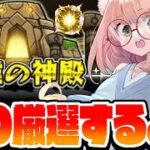 【🔴モンスト】神殿周回！参加型、初心者です😻　【博多弁猫Vtuberゆっきん】