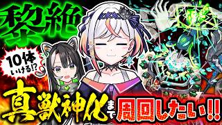 【モンスト】黎絶コディエゴスの真獣神化を目指して周回しながら徳島（マチ☆アソビ）の話をさせて！【#メタストらいぶ 】