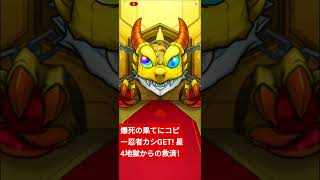 星4上忍ばっかりで諦めかけてたけど。。。 カシキタ!#モンスト #ナルトコラボ #カカシ先生 #モンストガチャ #爆死ガチャ#無課金#富山