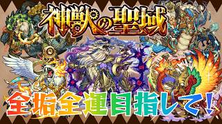 【モンスト/雑談】神獣の聖域やってくか～【miso】 #縦型配信 #モンスト #shorts