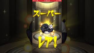 【モンスト】呪術廻戦コラボ確定演出　#モンスト #呪術廻戦 #shorts
