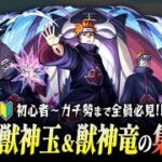 【モンスト】初心者〜ガチ勢まで全員必見！！獣神玉＆獣神竜の集め方