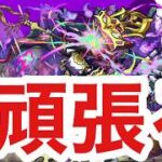 【🔴モンストLIVE】ただフォギルエを頑張る配信【縦型】