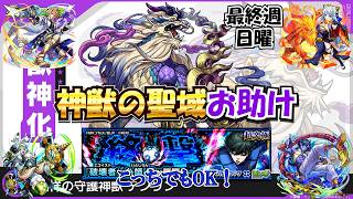 【モンスト】みんなでテンリンを作ろう！　糸師兄弟でもOK！　最終週　日曜日編 #縦型配信
