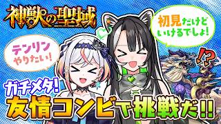 【モンスト】神獣の聖域でテンリンやりたい✨ガチメタ!友情コンビなら初見でも攻略できる?💚🎮【#メタストらいぶ 】