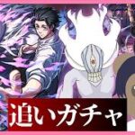 【モンスト】#呪術廻戦コラボ 乙骨憂太は私が引きます。【現実逃避したいきぬちゃん#vtuber  】