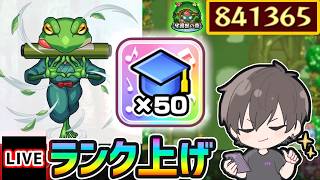 【🔴モンストライブ】※経験値50倍でランク上げ！ガマゾウ超絶周回【けーどら】