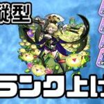 【モンスト/縦型配信】深夜のひっそりランク上げ　【ラブライブコラボ/深夜配信】